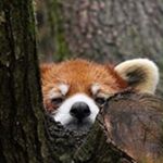 Profile Picture of Mark Lipkovker (@marlip14) on Instagram