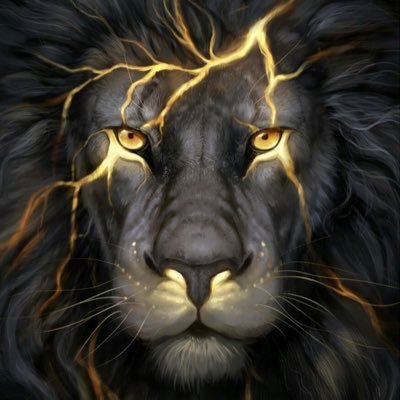 Profile Picture of Justin Seth Kaplan (@NuggetsSpirit) on Twitter