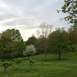 Profile Picture of Marcus Savage (@savage.marcus) on Instagram