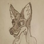 Profile Picture of Gavin Beck (@somber_fox_bruno) on Instagram