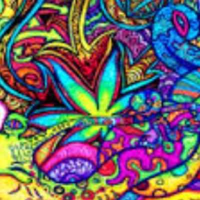 Profile Picture of Jesse Medlin (@awsome_white) on Twitter