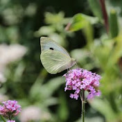 Profile Picture of Fam Van Weenen (@famvanweenen48) on Youtube