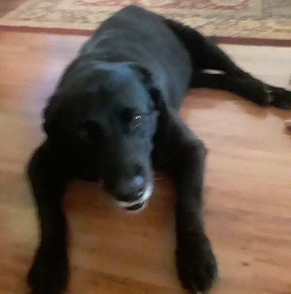 Profile Picture of David Weller (@davidweller97) on Poshmark