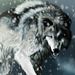 Profile Picture of kenneth morales (@moralesk2795) on Pinterest