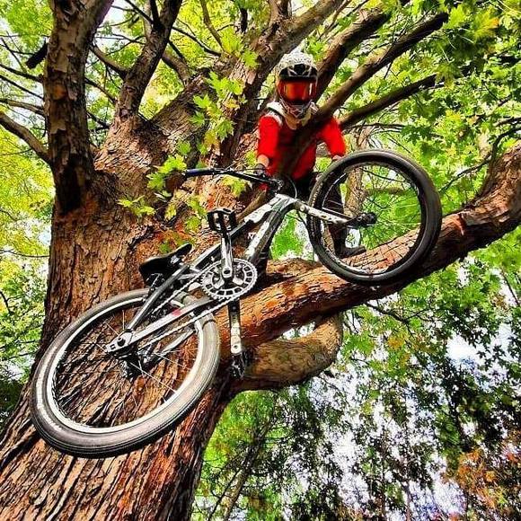 Profile Picture of Jessy Cholette (@jessycholette) on Poshmark