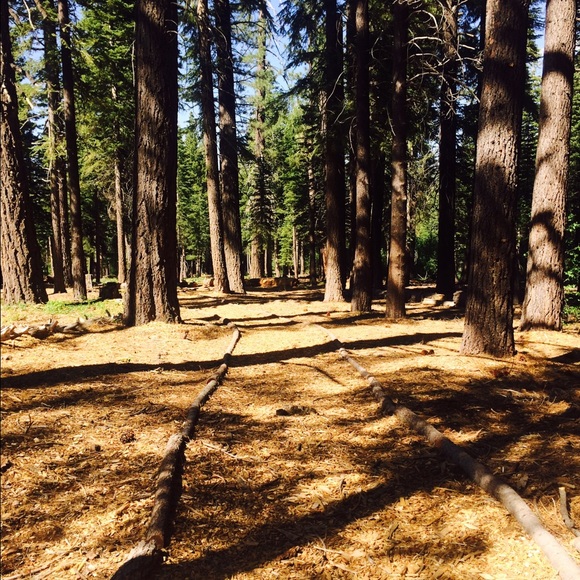 Profile Picture of Lauren Keliikoa (@laurenlynnk) on Poshmark