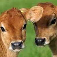 Mike Cournoyer - Quora Profile Picture of Mike Cournoyer (@mike-cournoyer-2) on Quora