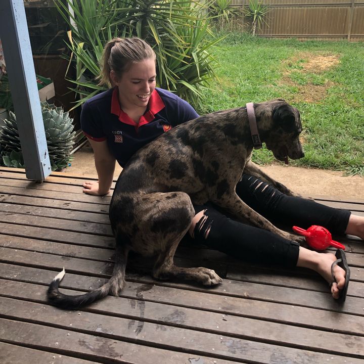 Cindy - Tiktok Profile Picture of Cindy (@cindy_wiseman) on Tiktok