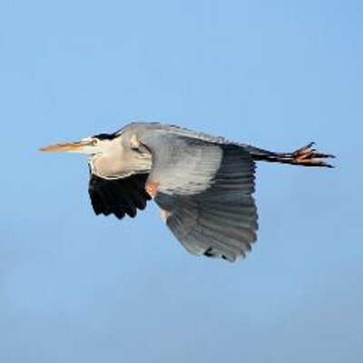 Profile Picture of Greg Doyle (@GregDoyle50) on Twitter