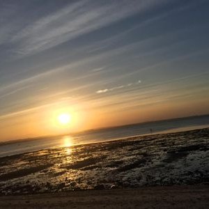 Profile Picture of Hamid RAD (@HamidRA11364720) on Twitter