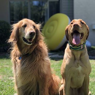 Profile Picture of Jeff Seaver (@jdseaver1) on Facebook