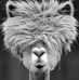 Profile Picture of Josh Munns (@josh.munns.5473) on Facebook