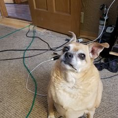 Profile Picture of Janet Brooks (@janet.brooks6) on Tiktok