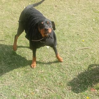 Profile Picture of Mia Ciapuscio (@mia.ciapuscio) on Facebook