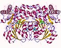 Profile Picture of Alanine—glyoxylate transaminaseon Wikipedia