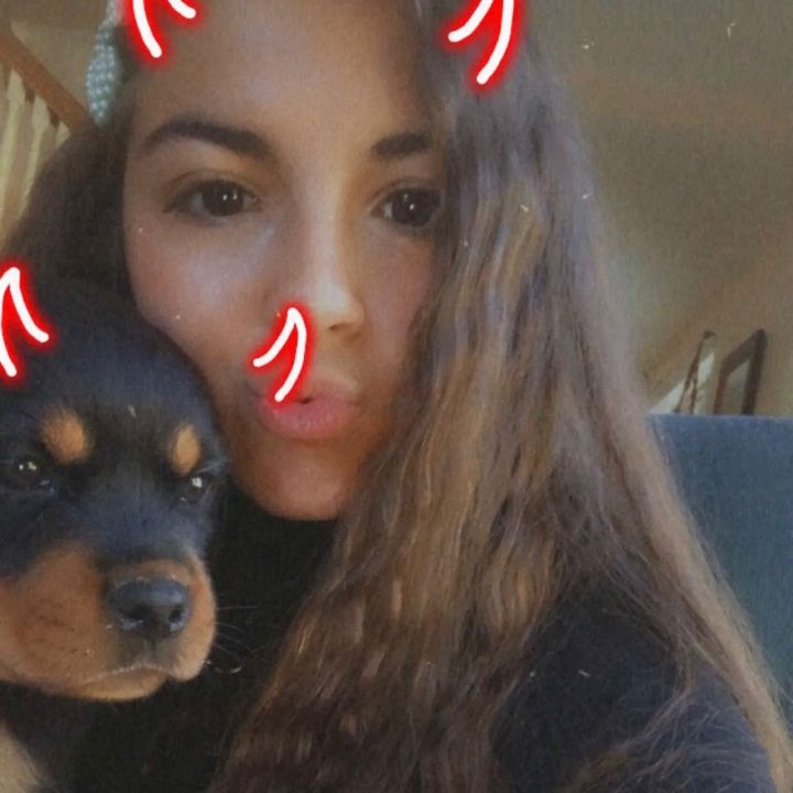 Profile Picture of Lauryn Boucher (@laurynboucher0) on Tiktok