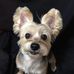 Profile Picture of Candy Chou (@candy.chou.9) on Facebook