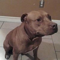 Profile Picture of Joel Rosas (@joel-rosas-5) on Quora