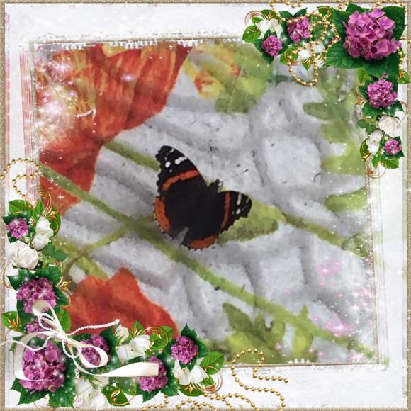 Profile Picture of Rosalind Chapman (@altima902) on Poshmark