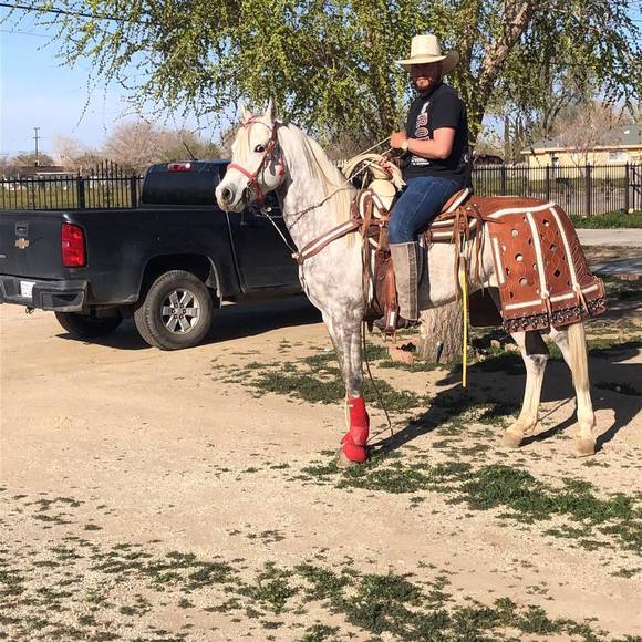 Profile Picture of Gabriel Torrez (@gabrieltorrez93) on Poshmark