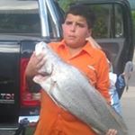 Profile Picture of Peter Zervos (@zervospeter) on Instagram