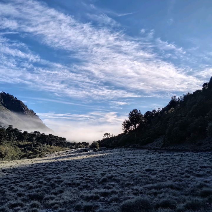 Profile Picture of wilsonllaulen (@wilsonllaulen) on Tiktok