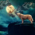 Profile Picture of Chris Pigg (@pigg75) on Instagram