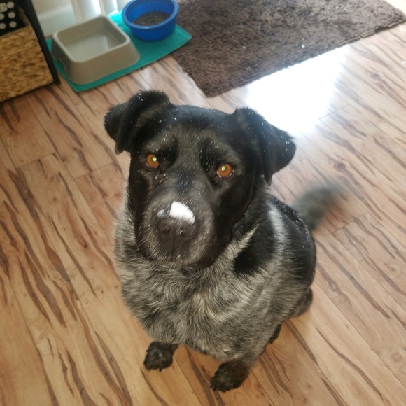 Profile Picture of Cam Maag (@cammaag) on Poshmark