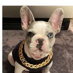 Profile Picture of natasha.hinton (@natashahinton05) on Instagram