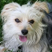 Profile Picture of Deborah Dunbar (@deborahdunbar7442) on Youtube