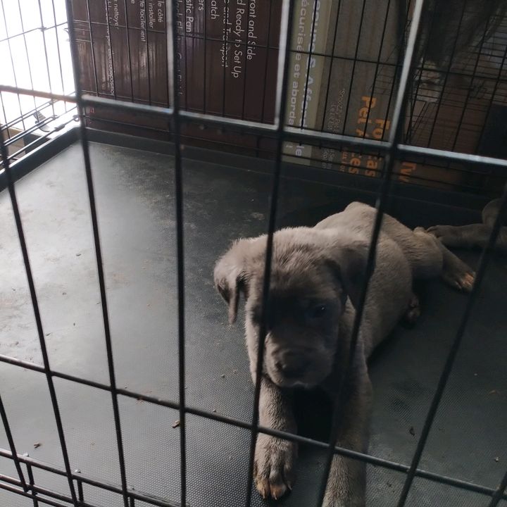 Profile Picture of kevinbables (@kevinbables) on Tiktok