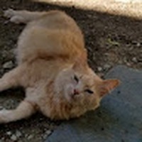 Sabrina Randall - Quora Profile Picture of Sabrina Randall (@sabrina-randall-14) on Quora