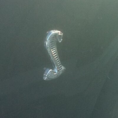 Profile Picture of Richard Peterson (@cobraxcobrax) on Twitter