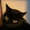Profile Picture of user7847531487325 (@@fayebray) on Tiktok