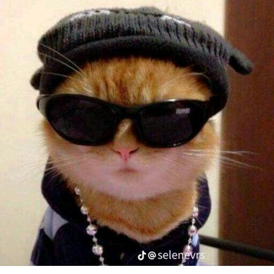 Profile Picture of Cedric Sudan (@cedric.sudan) on Tiktok