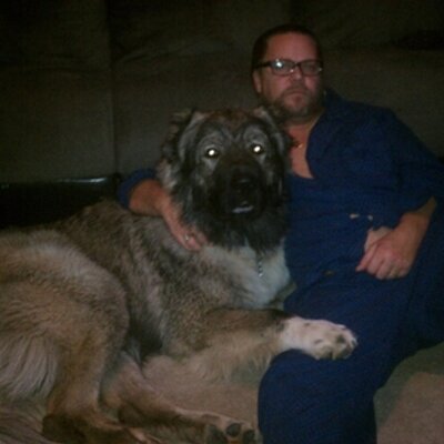 Profile Picture of Steve Speck (@speck787) on Twitter