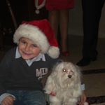 Profile Picture of Joe George Bezouzou (@joe.bezouzou) on Instagram