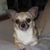 Profile Picture of Pam Etheridge (@Pam-Etheridge) on Facebook