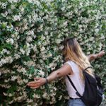 Paula - Instagram Profile Picture of Paula (@p.coastmaker) on Instagram