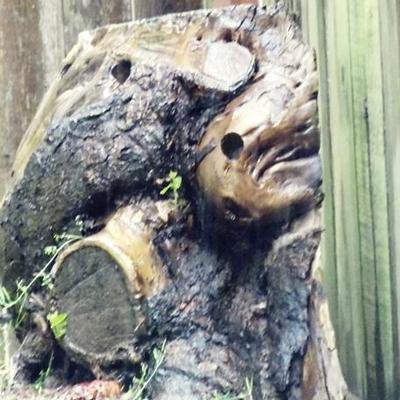 Profile Picture of John Viveiros (@joaopv3) on Twitter