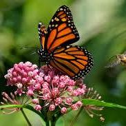 Profile Picture of Suzanne Morgen (@suzanne.morgen.50) on Facebook