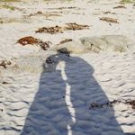Profile Picture of Mary Kay Holifield (@marykayholifield) on Instagram