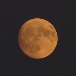 Profile Picture of Gabrielle Keller (@keller.gabrielle) on Flickr