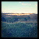 Joanne Gobin - Instagram Profile Picture of Joanne Gobin (@joannegobin22) on Instagram