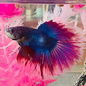 Profile Picture of Lorenzo Martinez (@LenzoBenzo19) on Youtube