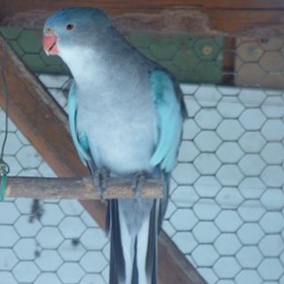 Profile Picture of Jacqueline Dorleans (@jacqueline.dorleans) on Facebook