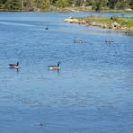 Profile Picture of James Schaetz (@James-Schaetz) on Facebook