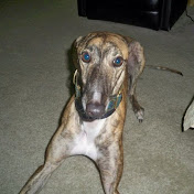 Profile Picture of Chris Wagnon (@Wags925) on Youtube