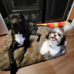 Profile Picture of Tracey Reilly (@tracey.reilly.35) on Instagram