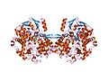 Profile Picture of Aldehyde ferredoxin oxidoreductaseon Wikipedia